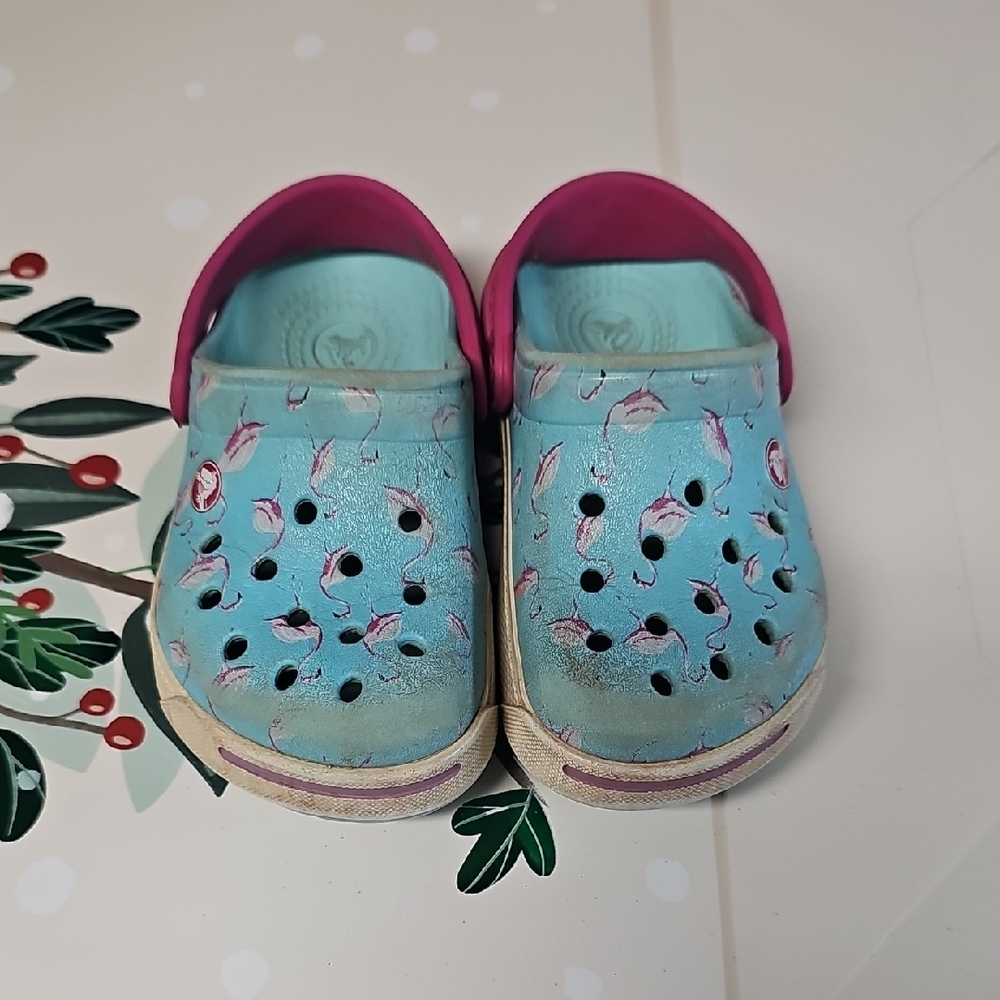 Kids Blue and Pink Clogs